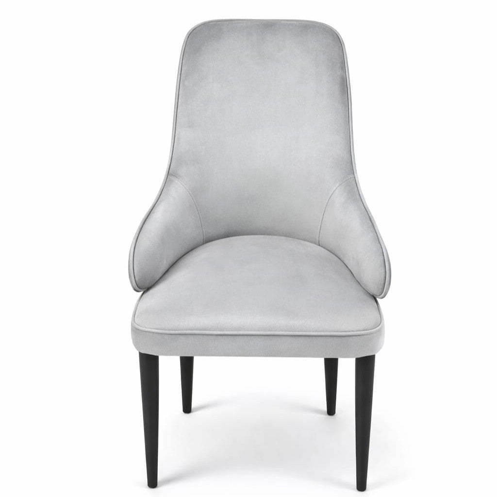 Silver Velvet Wingback Chair